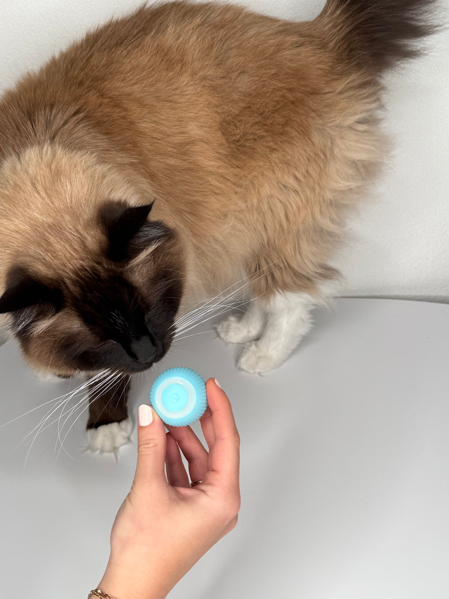 Intelligenter Ball für Katzen & Kleine Haustiere